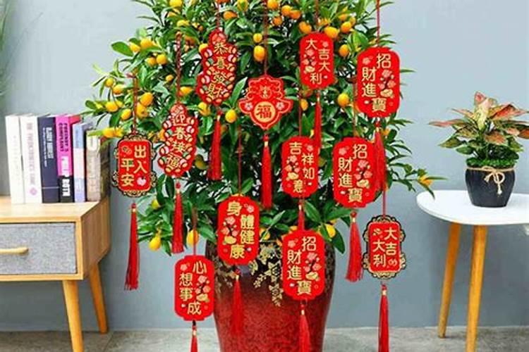 75年正月出生今年运势