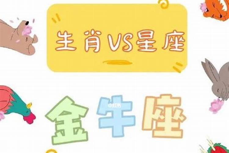 男鸡女狗合婚好吗？