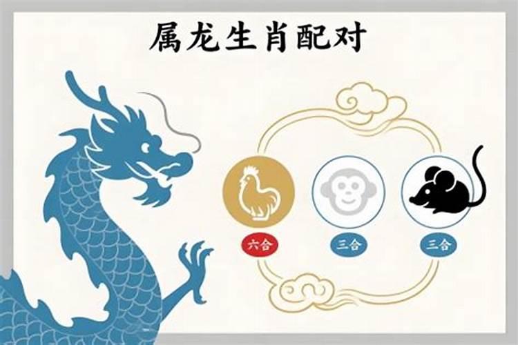 属龙跟属什么的合婚？