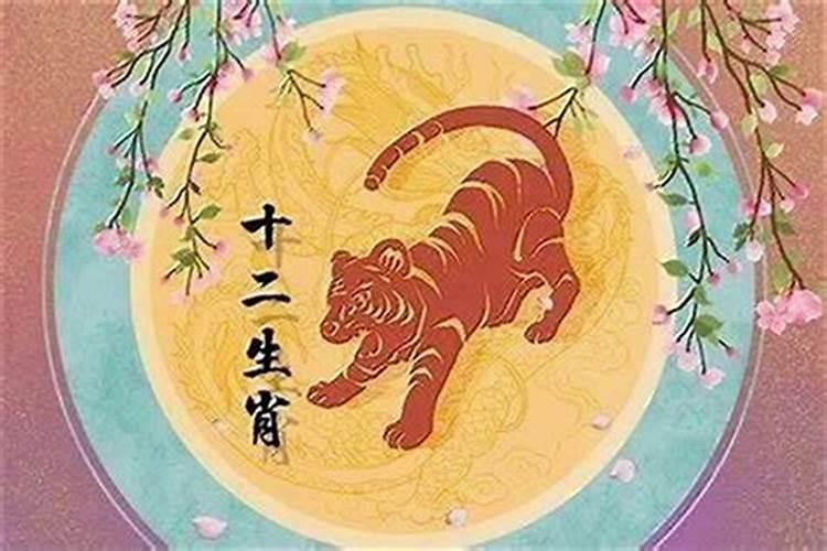 属虎生肖明年的运程