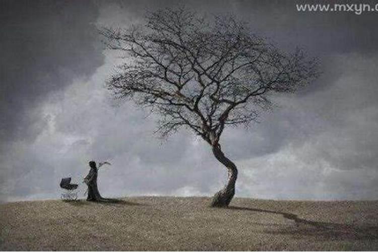 梦见别人抬死人是什么征兆？