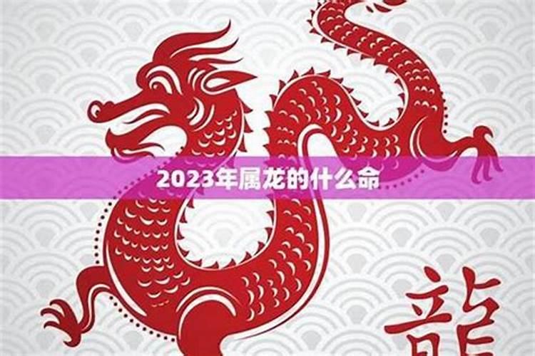 1976属龙人在2026年运势如何？