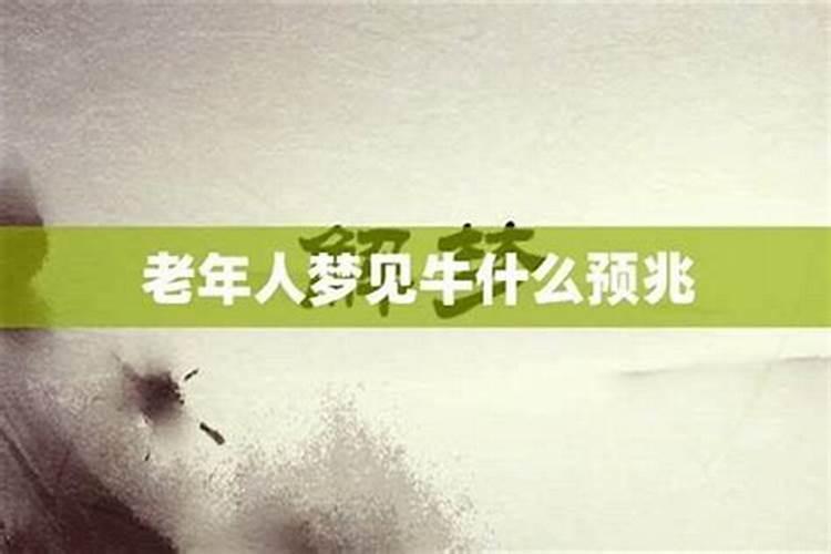 老人梦到牛是什么意思啊？