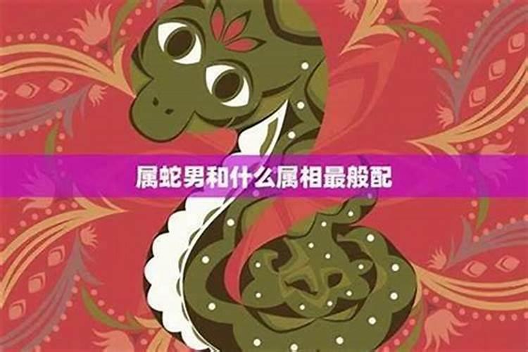男蛇与什么属相合婚？