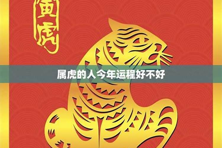 今年属虎的运程和财运生活健康方面