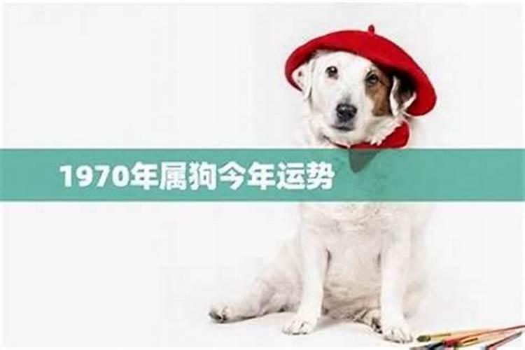 1970属狗本月运势如何？