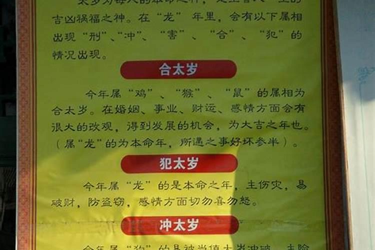 犯太岁去白云观拜哪个殿？