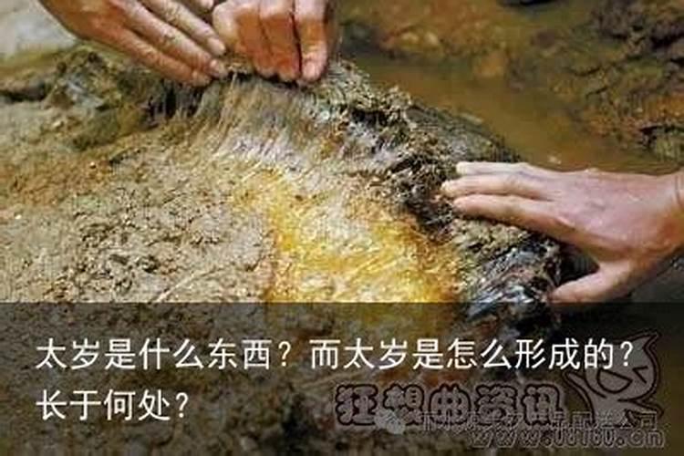 太岁是什么东西是怎么形成的？