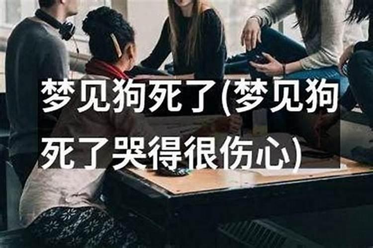 梦见狗狗死了我哭得很伤心