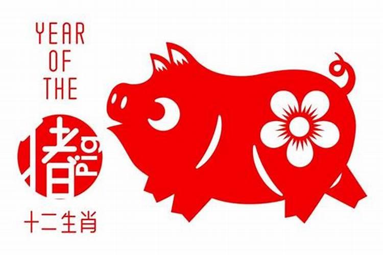 今年属猪女的运势