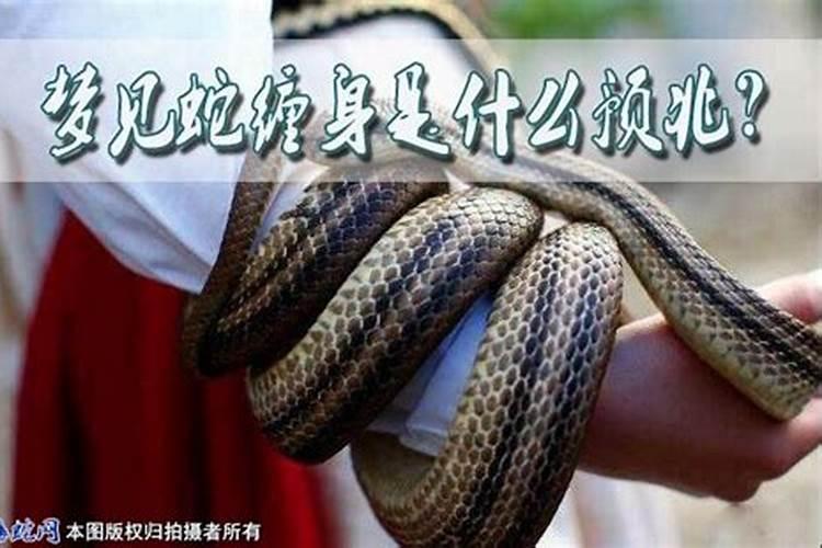 梦见蛇缠身是什么预兆？