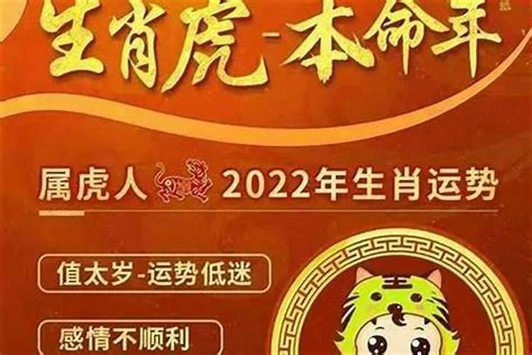 虎人74年在2026年运程
