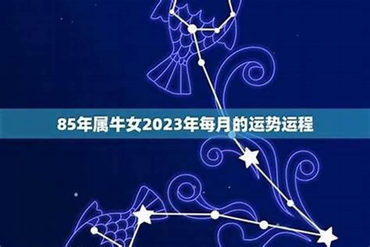 85年三月出生意生的运程