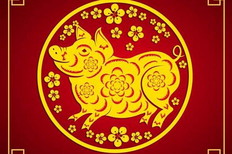 猪年出生的人狗年运势