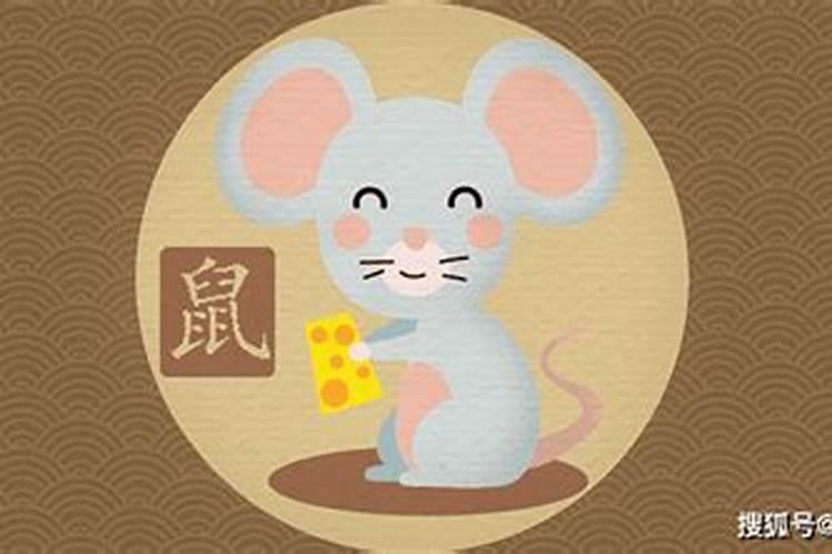 属鼠的五月份运程是怎么样？