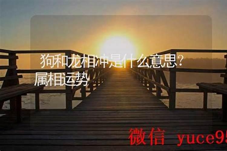 运势中冲是什么意思？