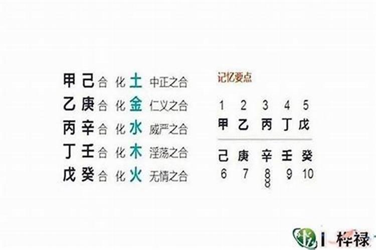 如何看争合的八字？