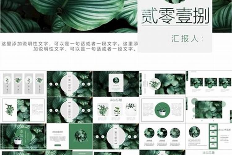 森系小清新名字