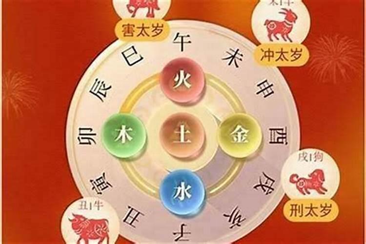 属兔的今年怎么犯太岁？