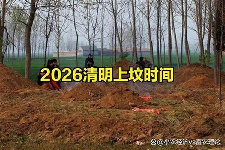 2026年腊八上坟好吗？