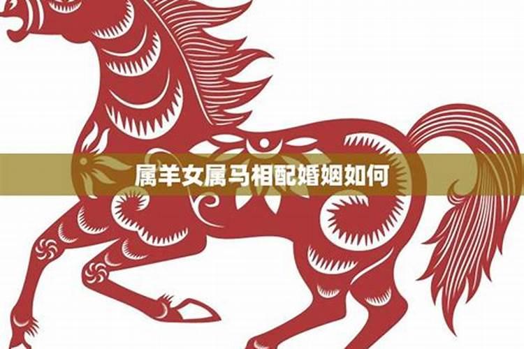 属马今年婚姻运势如何？