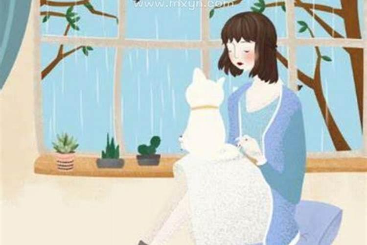 梦见猫是什么预兆周公解梦女人？