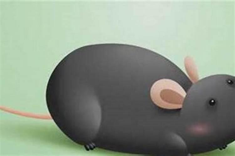 梦到大老鼠是什么意思？