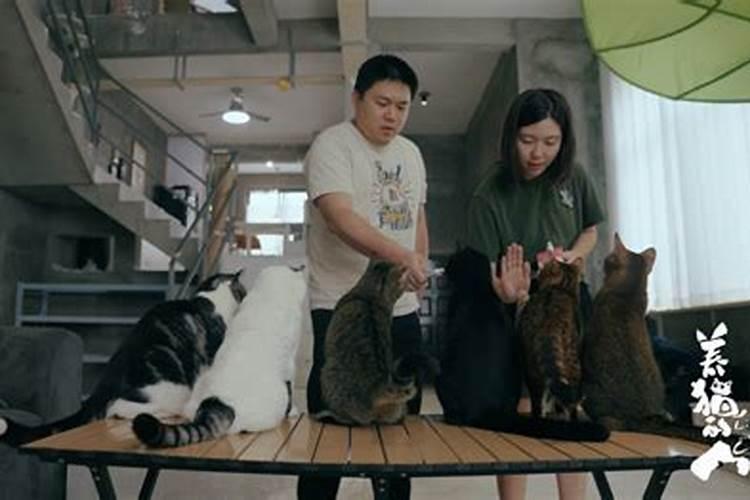 梦见死去的叔叔养了很多猫？