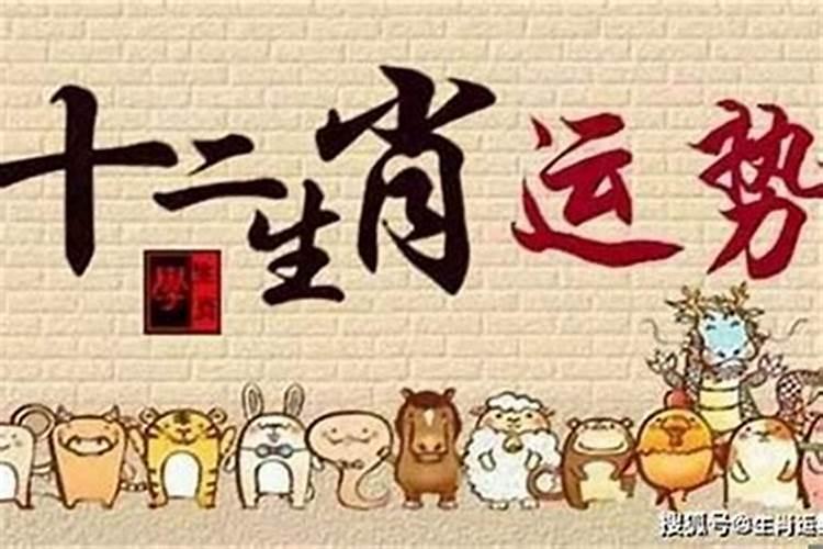 鼠年生8月运势如何？