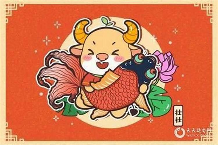 属牛哪年运势财运好？