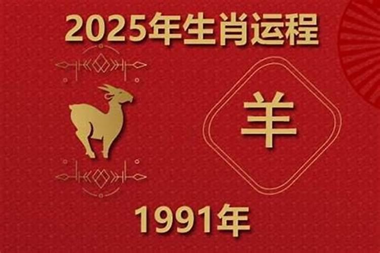 91羊的今年的运势如何？