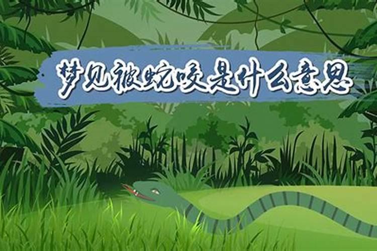 梦见被蛇咬是怎么回事呢？