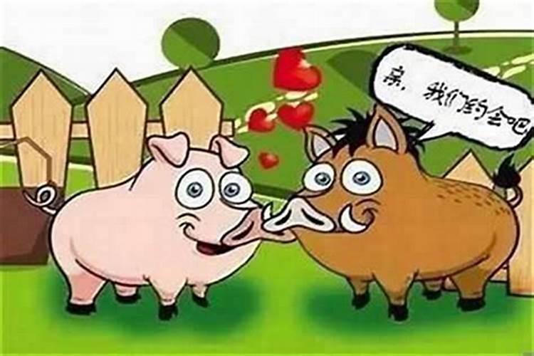 属猪的与属牛合婚吗？