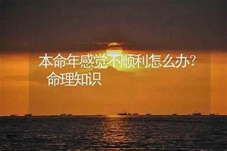 本命年感觉不顺怎么化解？