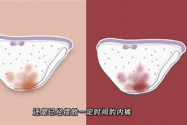 梦见女性内裤有经血