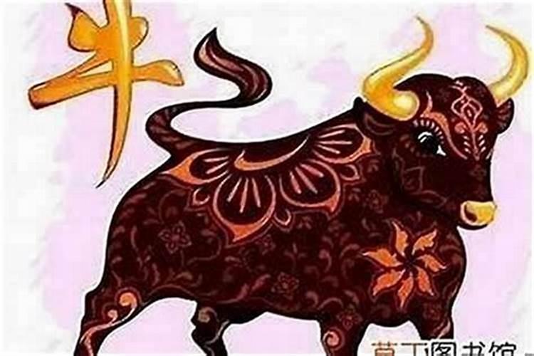 本命年结婚好不好属牛女？