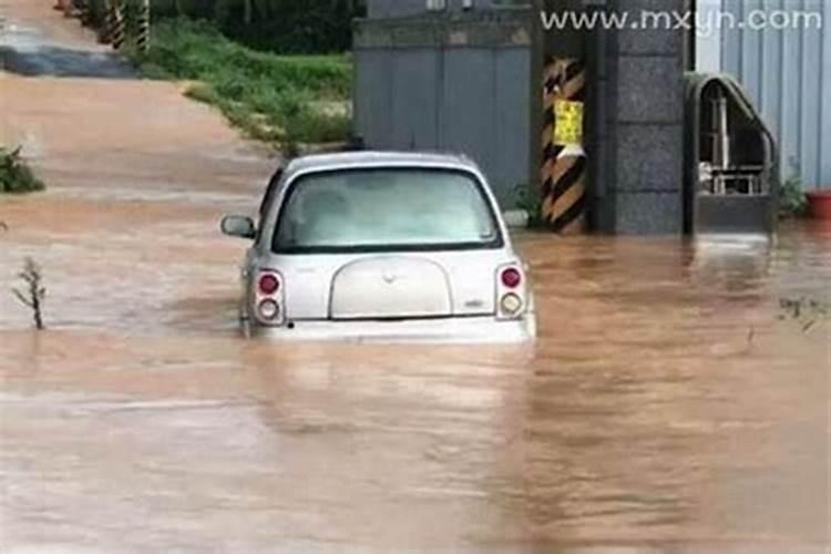 梦见回家的路上有水坑