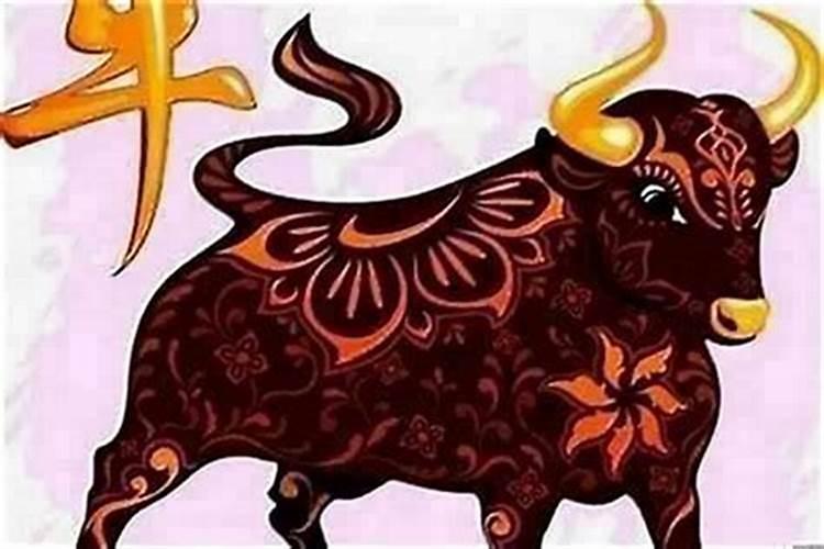 本命年牛年注意什么？