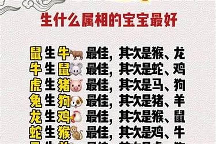 哪个属相宝宝最好？