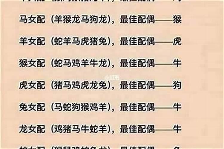 男鼠与什么属相女婚配好？
