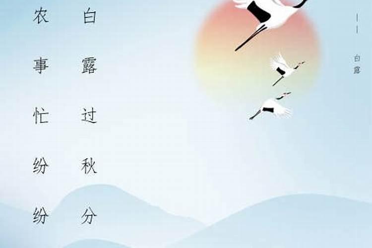 白露在哪个卫视过春节？