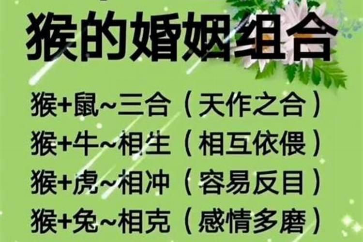 属鸡男和哪个属相婚配？