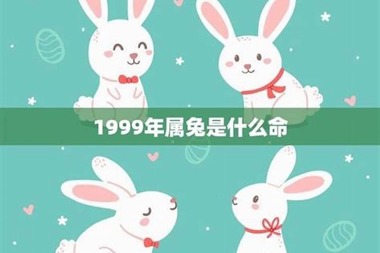 1999属兔的人找对象