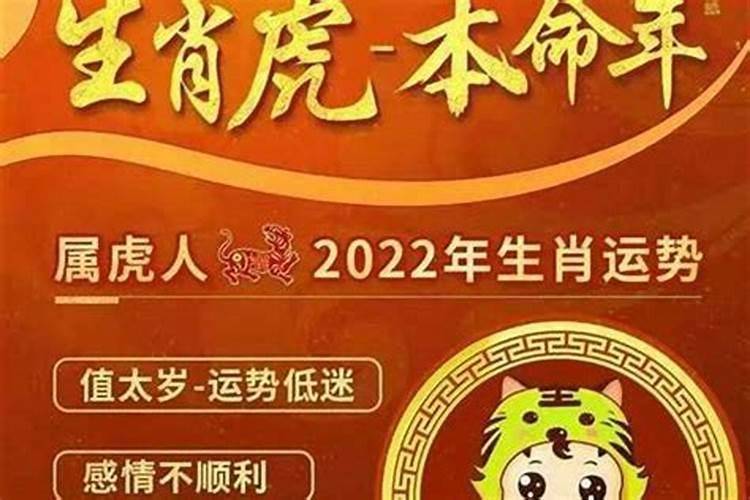 74虎人在2026年运程