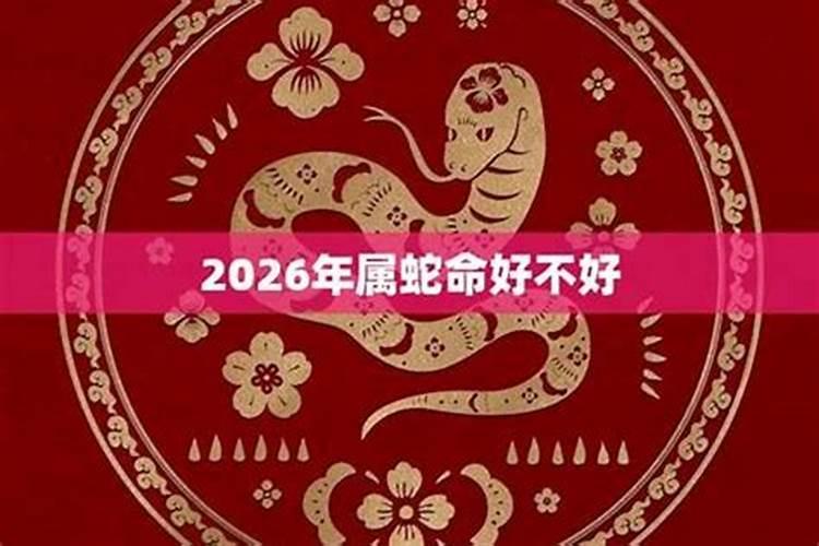 七七年蛇女2026年运程