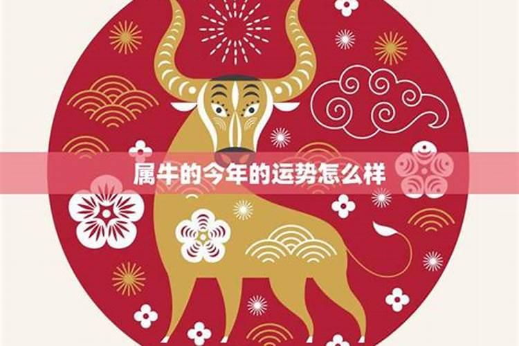 73年的牛今年运势怎么样？
