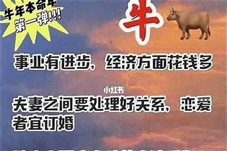牛年本命年运气太差怎么办？