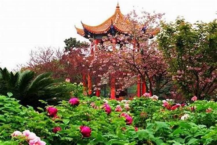 北京清明节哪里好玩的地方？