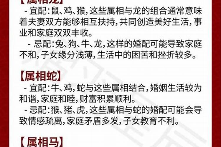 女属马婚配什么属相最好？
