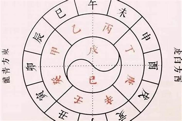 天干和地支哪个是配偶？